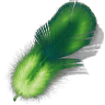 Green Feather